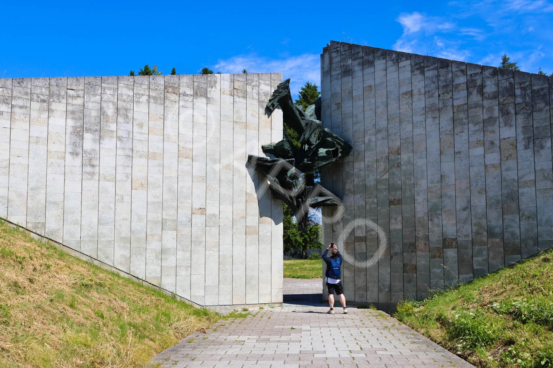 Bild_21_2F6A9273-1-2.JPG