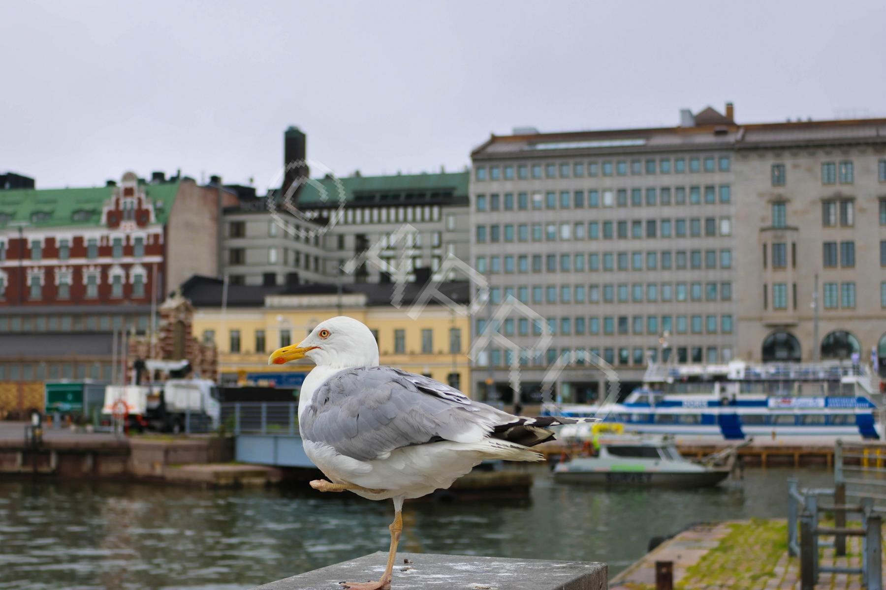 Bild_28_2F6A9679-1.JPG