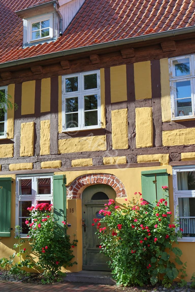 Bild_29A_2F6A5343-1.JPG
