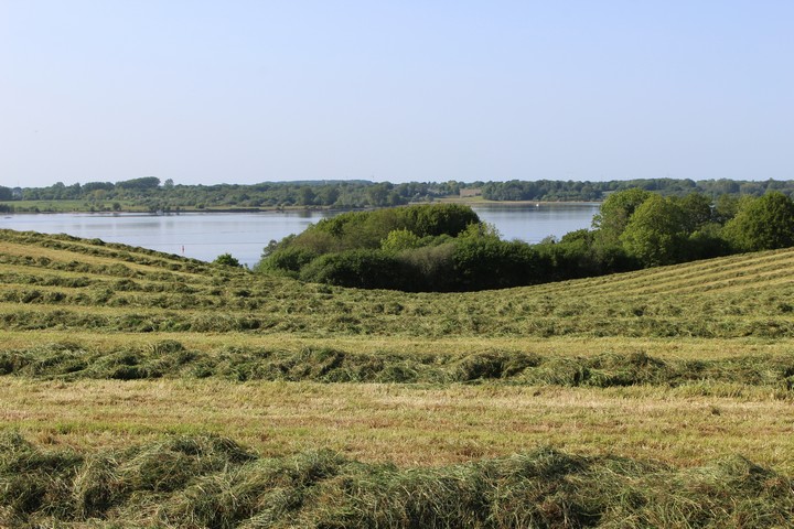 Rund um die Schlei verwöhnt frisch geerntetes Heu mit seinem Duft die Nasen und das Wasser mit der Uferzone ergötzen die Augen