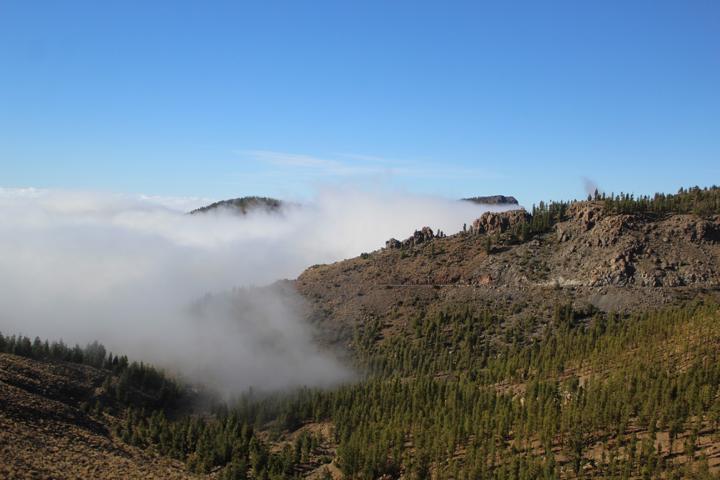 Die Nordost-Passatwolken sind auf Teneriffa der einzige natürliche Wasserlieferant