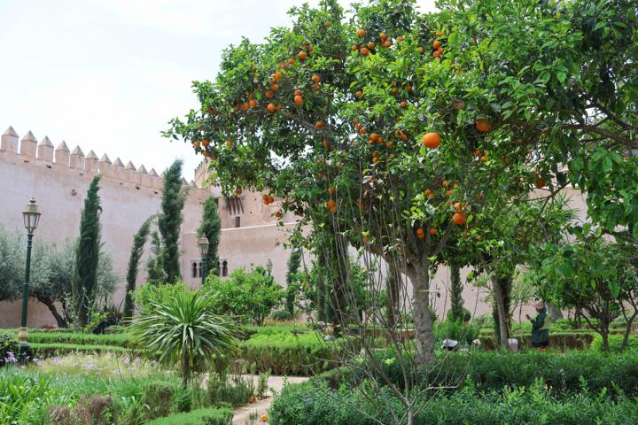 Die wunderschönen Andalusischen Gärten in der Kasbah von Rabat wurden Anfang des 20. Jahrhunderts im maurischen Stil angelegt