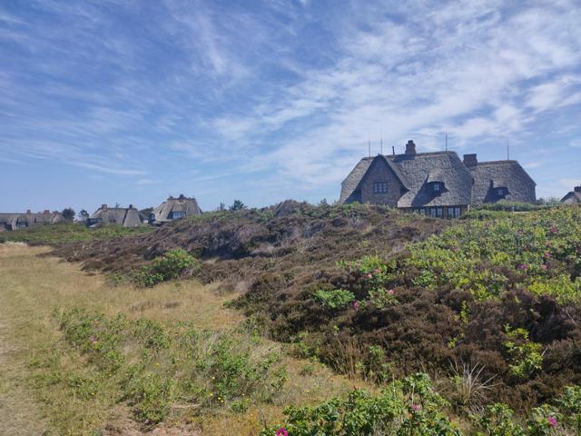 Kampen ist die “Reetdach-Hauptstadt” von Sylt