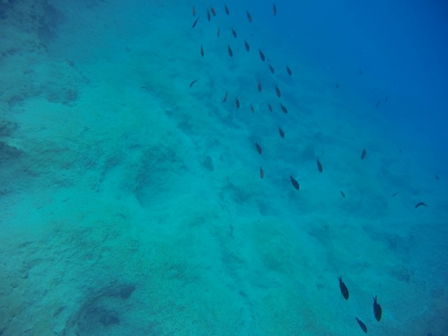 Perfekt zum Schnorcheln: Das Meer vor der Küste ist so klar, dass man bis auf den Meeresgrund blicken kann