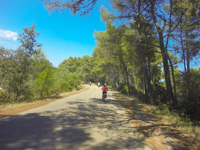 Bei sehr hohen Temperaturen sind die vielen schattigen Streckenabschnitte eine wohltat