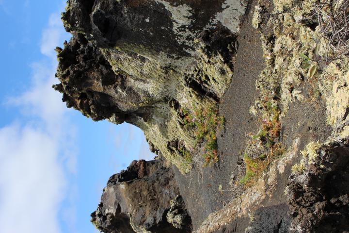 Vulkanismus erschuf die Kanaren