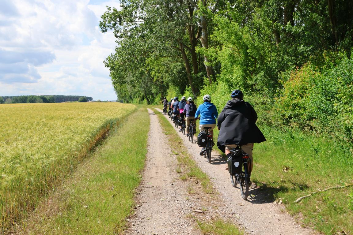 Fahrradausflug auf Usedom: Die Route führt von Wolgast über Karlshagen und wieder zurück nach Wolgast und bietet abwechslungsreiche Eindrücke der Insellandschaft