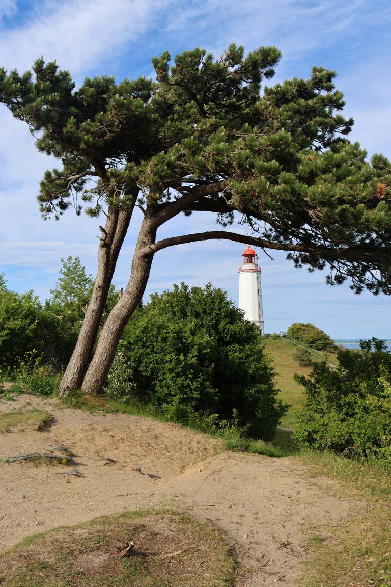 Der 27,5 Meter hohe Leuchtturm Dornbusch auf der Ostseeinsel Hiddensee zählt zu den bekanntesten Wahrzeichen