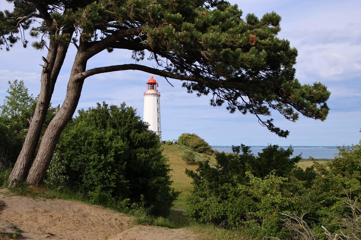 Der 27,5 Meter hohe Leuchtturm Dornbusch auf der Ostseeinsel Hiddensee zählt zu den bekanntesten Wahrzeichen