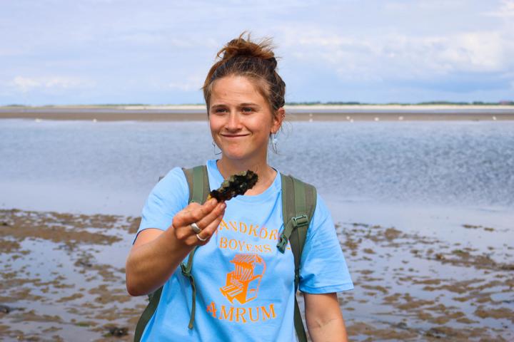Wattführerin Paula Feldmann präsentiert eine eingeschleppte Pazifische Felsenauster (Magallana gigas), die sich rasant im Wattenmeer ausbreitet
