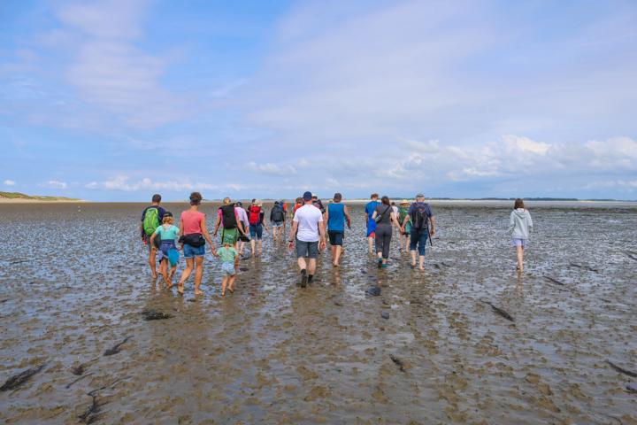 Welterbe Wattenmeer: Bei einer geführten Wattwanderung lässt sich die Spurensuche am Meeresboden mit all seinen Reizen hautnah erleben – für große und kleine Nordseefans ein einmaliges Gefühl unter den Füßen