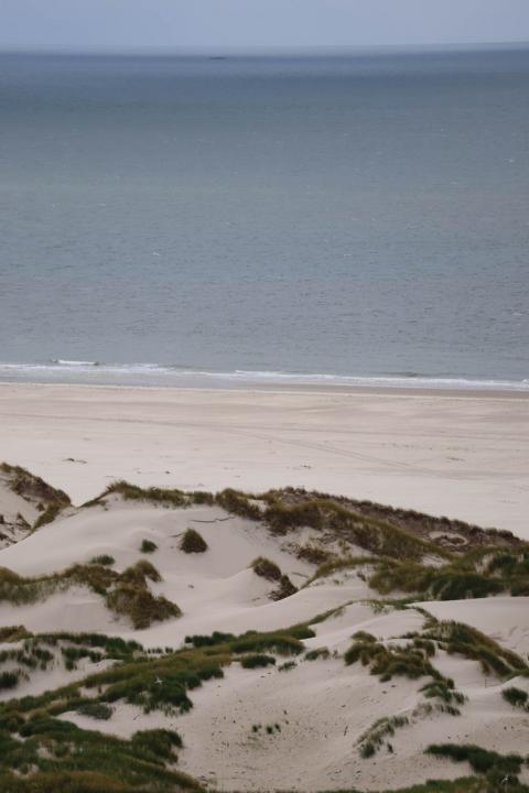 Kniepsand vor den Dünen von Amrum – eine Sandbank, die wie ein endloser Strand wirkt